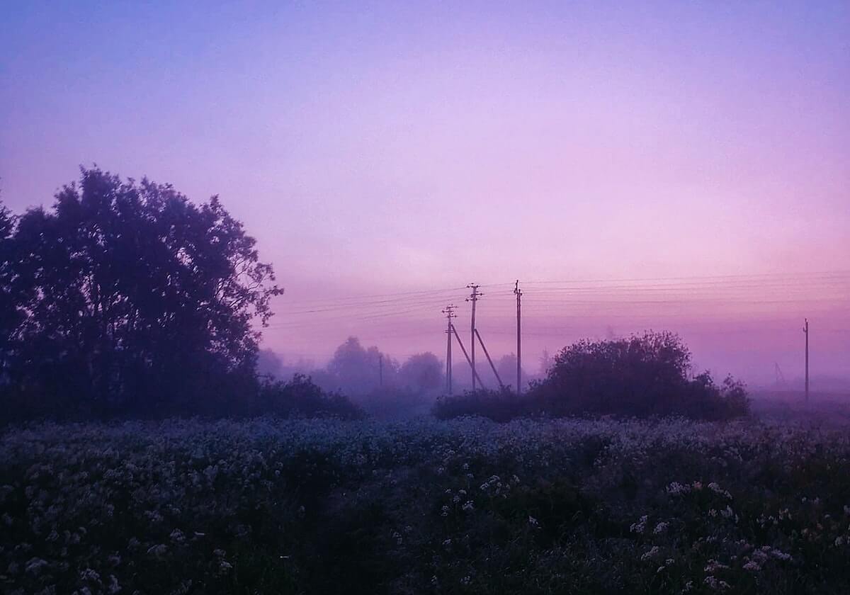 华体会在线登录：开启极致体验的新入口